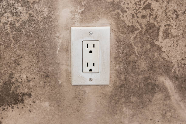 Reliable Moore, OK Mold Removal Solutions